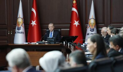 Erdoğan’dan seçim yorumu: Güneşi gören buz misali erimeye devam ederiz