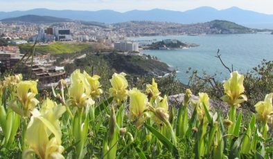 Kuşadası’nda STK’ler ayağa kalktı