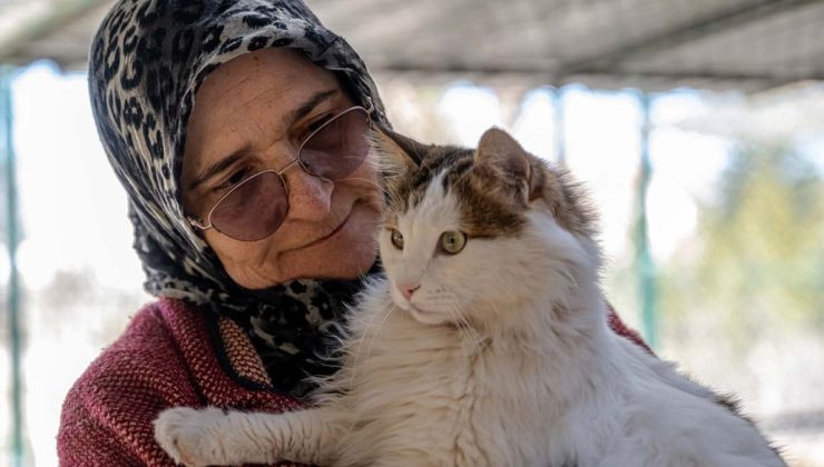 Müstakil evinin bir katını sokak kedilerine yuva yaptı