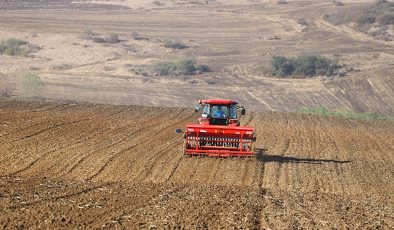 2024’te tahıl üretiminde düşüş bekleniyor